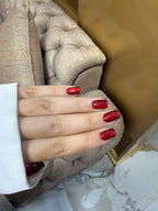 Red Theory