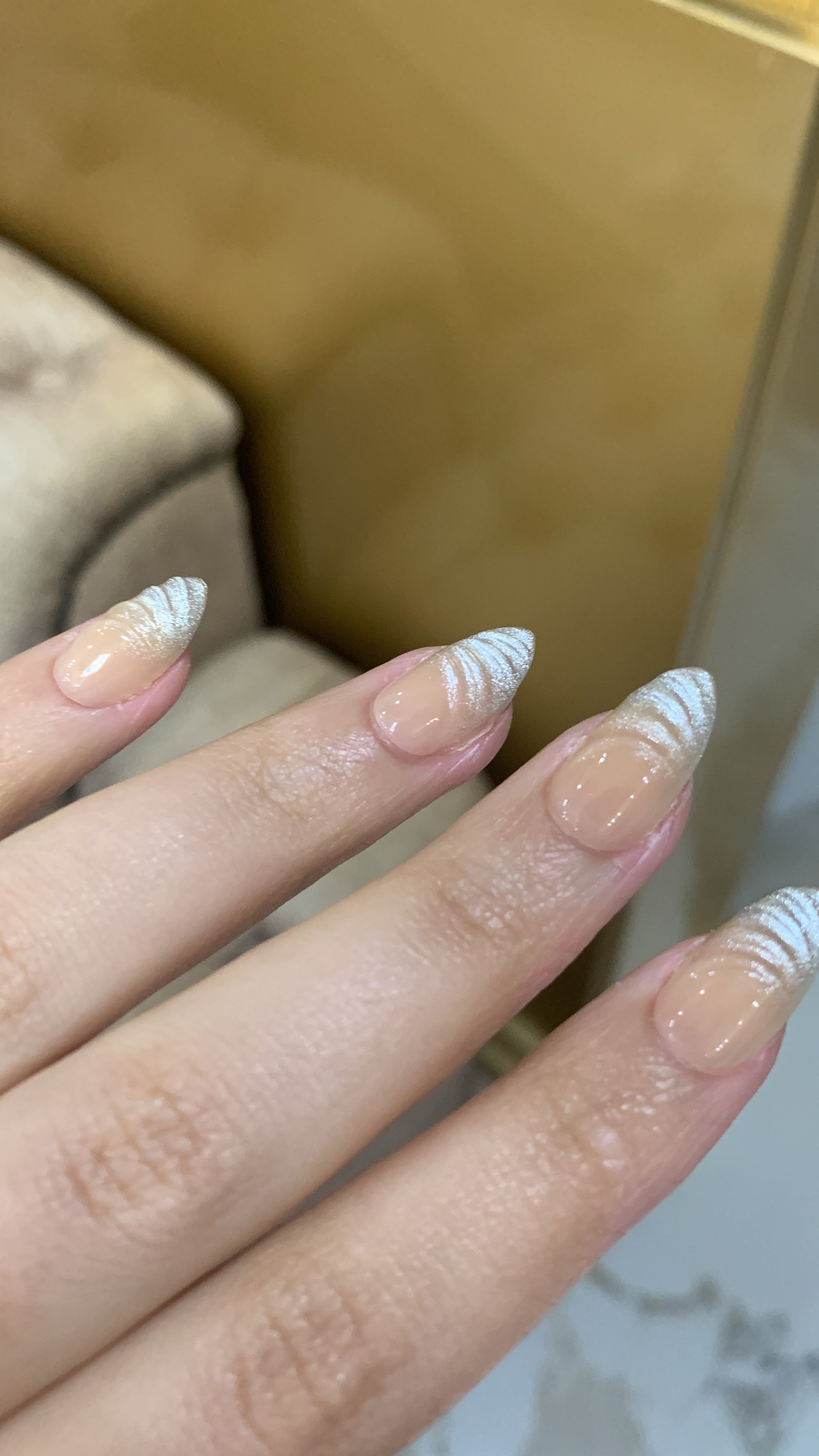 Silver Veil